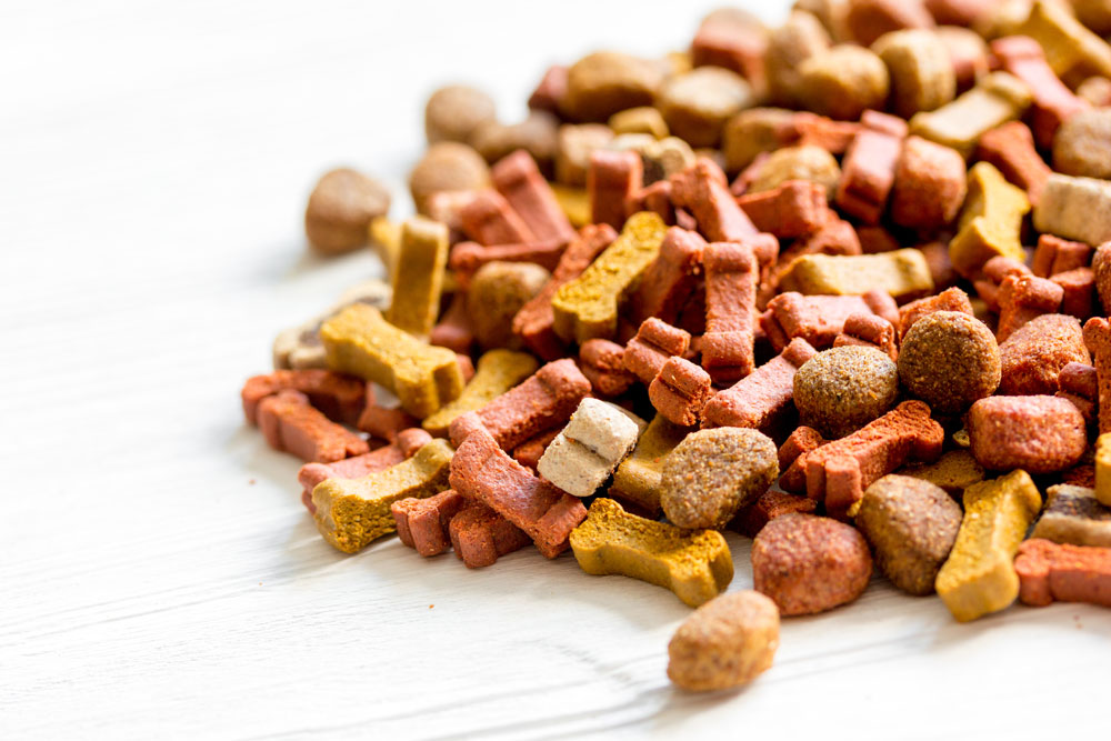 Dry Dog Food